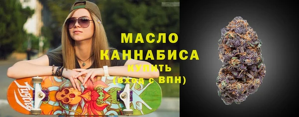 молекула духа Арсеньев