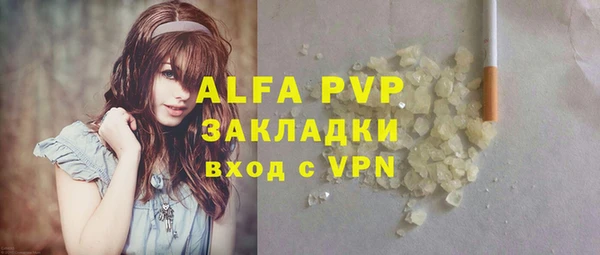 молекула духа Арсеньев