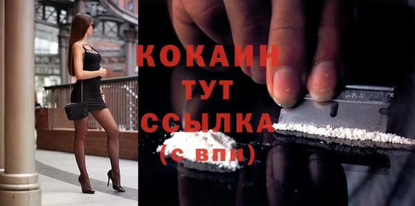 молекула духа Арсеньев