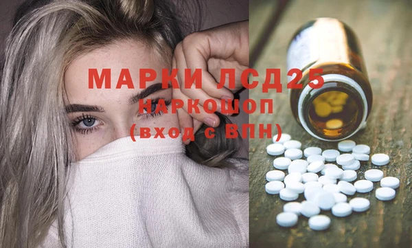 молекула духа Арсеньев