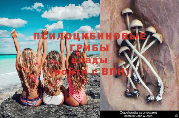 дмт Рославль