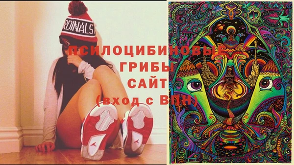 молекула духа Арсеньев