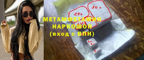 прущие грибы Аркадак
