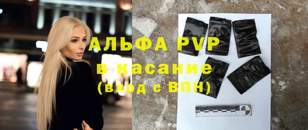молекула духа Арсеньев