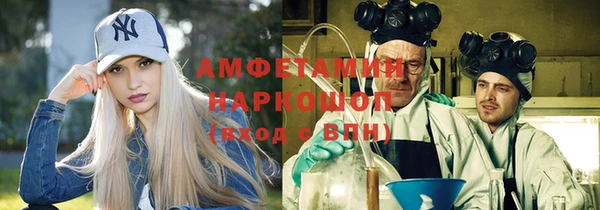молекула духа Арсеньев