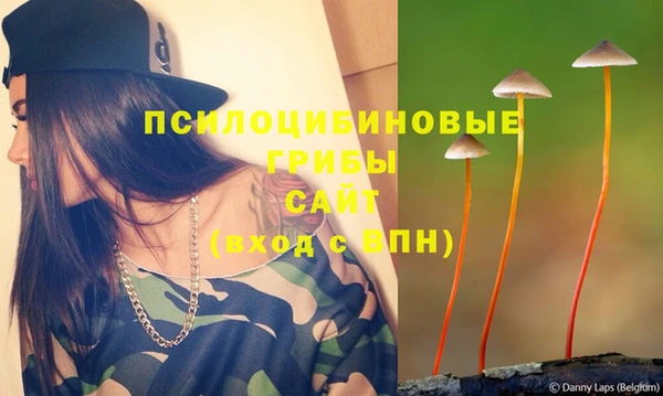 молекула духа Арсеньев